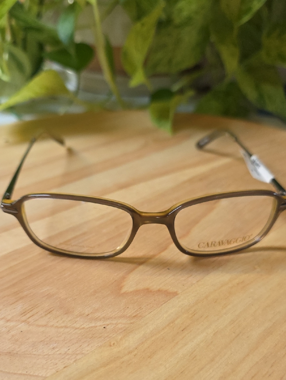 Caravaggio MARIO GRY 140 DEMO Rectangle Eyeglasses